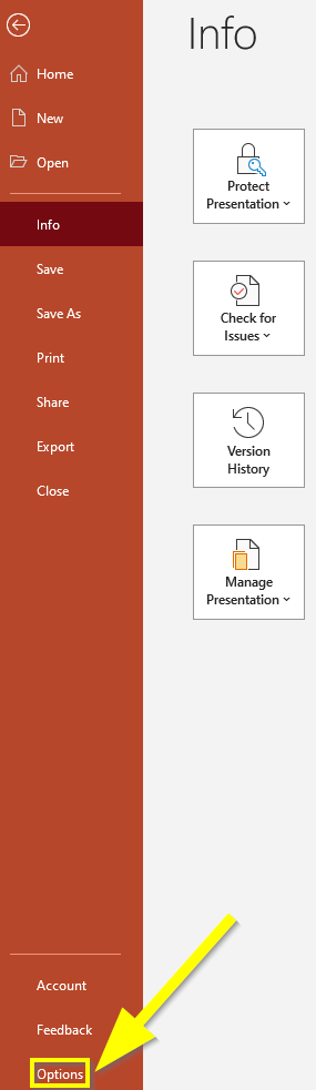 PowerPoint Options Window