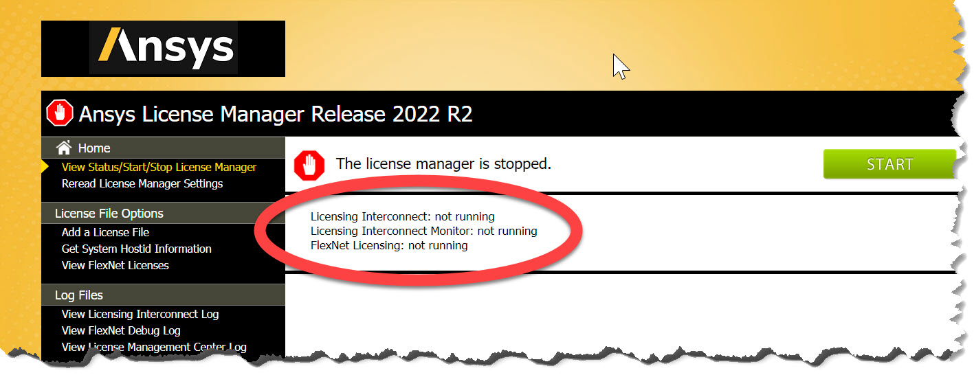 1AnsysLicManager.jpg
